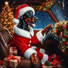 a black and brown dog wearing a santa clause outfit sitting in the driver's seat of a car