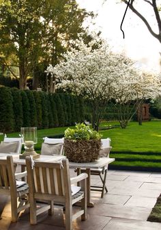 an outdoor dining table and chairs in the middle of a garden with white flowering trees