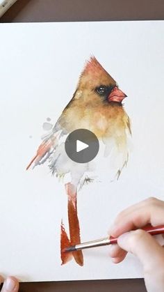 someone is painting a bird with watercolors on paper