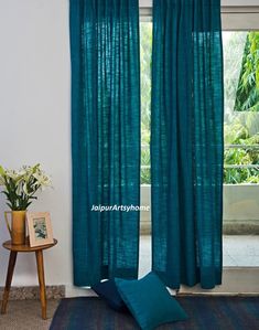 a living room with blue curtains and a rug in front of a window that has a potted plant next to it