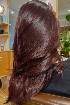 dark red brown hair Dark Deep Red Hair Color, Deep Red Brown Hair, Chocolate Red Hair Color, Red Brown Hair Colors, Red Lowlights In Brown Hair, Dark Wine Red Hair, Dark Red Brown Hair Color, Brown Red Hair Color, Dark Brown Red Hair