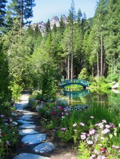 a small pond surrounded by trees and flowers