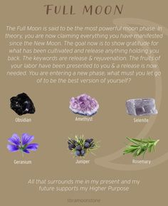 Full Moon Altar, Moon Madness, Goddess Magick, Lunar Witch, Lunar Magic, Moon Magick, Charmed Book Of Shadows, Lunar Moon