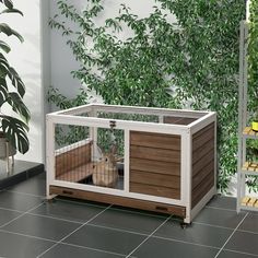 a rabbit in a cage on the floor next to a potted plant