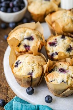 blueberry muffins on a plate with fresh blueberries