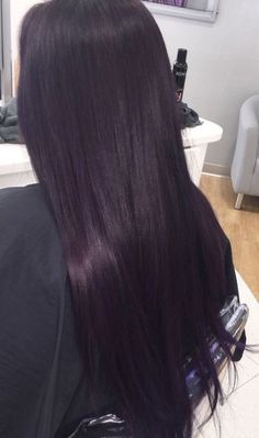 Dark Purple Straight Hair, Black Hair With Purple Tint, Violet Black Hair Color, Plum Black Hair, Violet Black Hair, Purple Black Hair, Red Purple Hair, Hair Color Plum