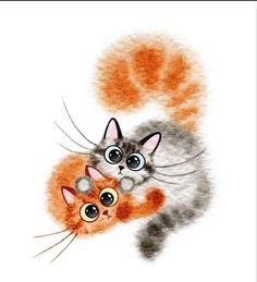 an image of two cats that are in the air with their eyes wide open and one cat