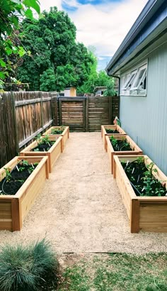 several wooden planters are lined up in the yard