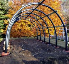 an outdoor garden area with several metal arches