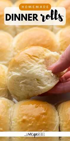 Here's a simple side dish recipe you can enjoy on holidays and even weeknight dinners! It's a bread idea featuring yeast rolls. Not only are these homemade dinner rolls soft and fluffy, but they are also the most delicious that you'll ever taste! Make Ahead Dinner Rolls, Best Dinner Rolls, Roll Dough Recipe, Dinner Roll Recipe, Sweet Dinner Rolls, Fluffy Dinner Rolls, Dinner Leftovers, Best Dinner