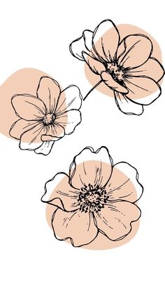 three flowers are shown on a white background