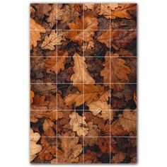 an image of leaves on the ground in different sizes and colors, all arranged together