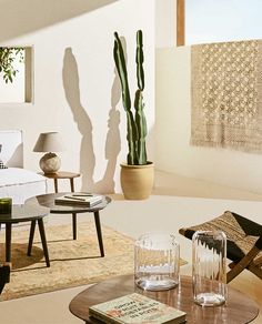 a living room filled with furniture and a large cactus