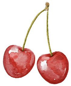 two cherries on a white background are painted in watercolor and have green stems