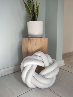 a potted plant sitting on top of a wooden block next to a white sculpture