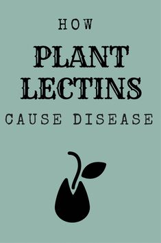 Low Lectin Foods, What Are Lectins, Dr Gundry Recipes, Bake Snacks, Lectin Free Foods, Plant Paradox Diet, Lectin Free Diet, Cheap Clean Eating, Plant Paradox