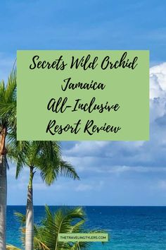 the words secrets wild orchid jamaica all - inclusive resort review on top of palm trees