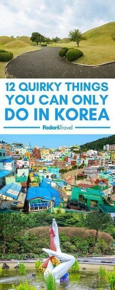 the cover of an article about things you can only do in korea