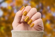 11 Winter Nail Polish Colors for Fair Skin - That Looks Cozy - Natural Nail Styles, Natural Nail Shapes, Short Natural Nails, Natural Gel Nails, Long Natural Nails, Natural Acrylic Nails