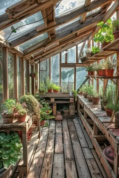 the inside of a greenhouse with lots of potted plants on shelves and wooden flooring