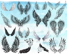 a drawing of different kinds of wings on a blue watercolor background with black and white ink