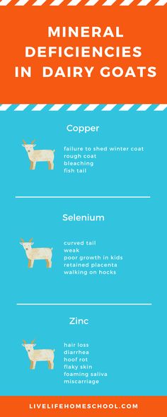 the different types of dogs that can be found in dairy goats