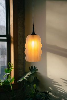 a lamp hanging from a ceiling in front of a window next to a potted plant