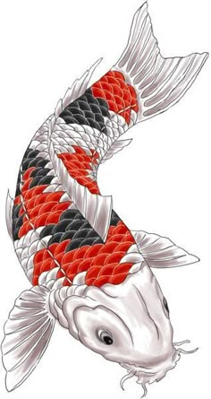 a koi fish with red, black and white stripes