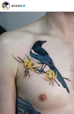 a man with a bird tattoo on his chest