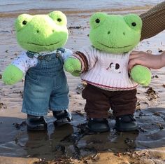 i missed posting about fluffy frogs, and i know you guys, too;✧ Green Frog, Build A Bear, The Beach, Animals, On Instagram, Instagram