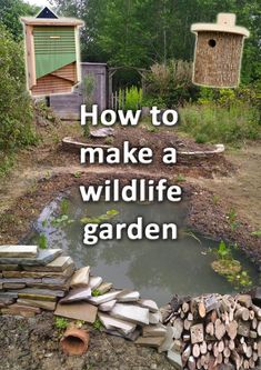 A wildlife garden with a wildlife pond, wildlife plants and log piles Garden Wildlife Ideas, Wildlife Habitat Projects, Creating Animal Habitats, Frog Sanctuary, Backyard Wildlife Habitat Ideas, Wildlife Habitat Garden, Biodiversity Garden Ideas, Biodiverse Backyard, Wildlife Friendly Garden Ideas