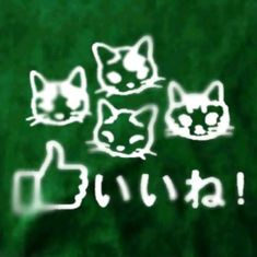 three cats with thumbs up and down drawn on them