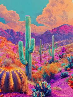 an image of a desert scene with cacti