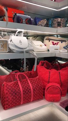 Kylie Jenner Bags, Hot Bags, Luxury Lifestyle Dreams, Fancy Bags, Bags Designer Fashion, Luxurious Bedrooms, New Handbags