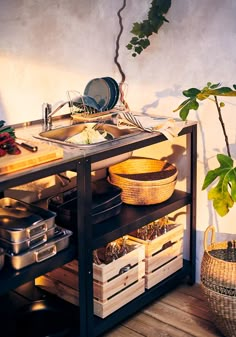 a potted plant sitting on top of a wooden shelf next to a metal sink