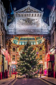 a large christmas tree in front of a building