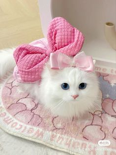 a white cat with a pink bow on it's head sitting on a rug