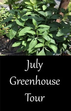 a sign that says july greenhouse tour