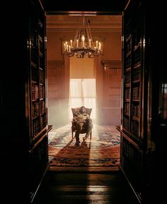 an open door leading to a library with a chair and chandelier hanging from the ceiling