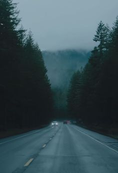 a car driving down a road in the middle of some trees on a foggy day