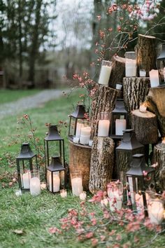 many lit candles are placed on the ground next to some tree stumps and flowers