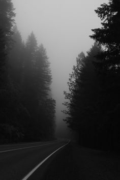 black and white photograph of foggy road with trees on both sides in the foreground