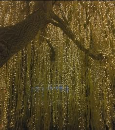 a large tree with lots of lights hanging from it's branches