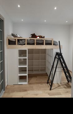 there is a loft bed in the room with shelves and ladders on the floor