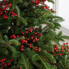 a christmas tree with red berries and green leaves