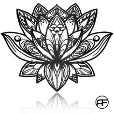 a black and white drawing of a lotus flower