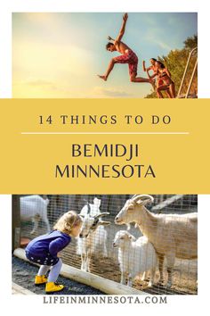 Bemidji Minnesota, Itasca State Park, Paul Bunyan, Plan A Trip, Cross Country Skiing, Mississippi River, Science Center, Pine Forest, American Cities