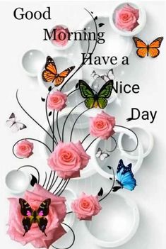 pink roses and butterflies on a white background with the words good morning have a nice day