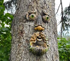 a face carved into the trunk of a tree