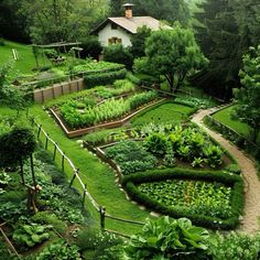 a garden with lots of green plants and trees in the background, surrounded by lush greenery